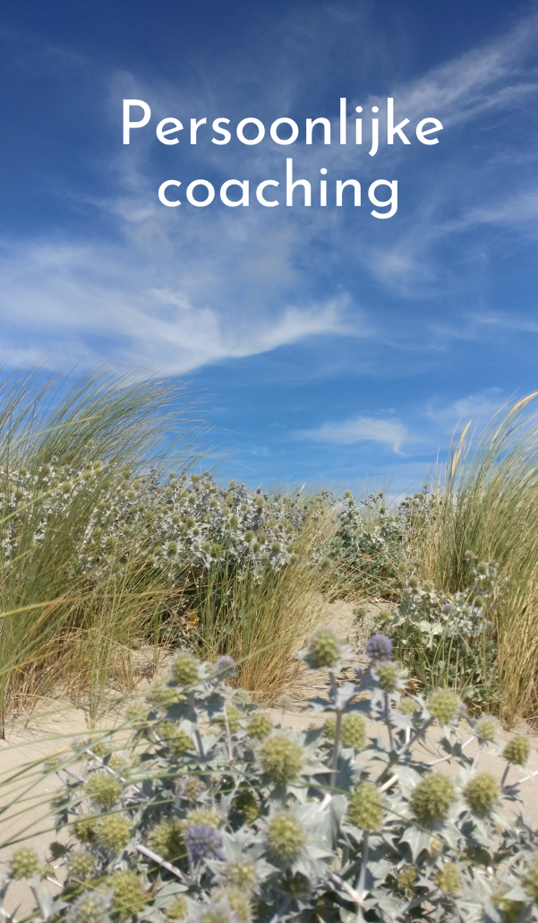 Persoonlijke coaching